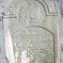 3 Proszowice - cmentarz żydowsk (1.VI.2008)