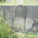 4 Proszowice - cmentarz żydowsk (1.VI.2008)i