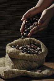 Przeciwdziałanie pracy dzieci na plantacjach kakao